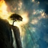 Nature Wallpapers - Free nature screens