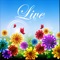 New Live Wallpapers -...
