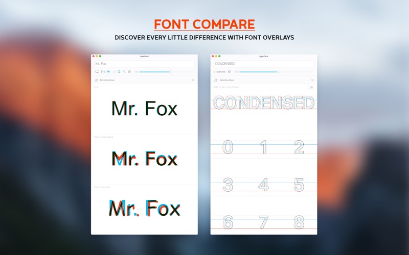 Typeface.app caprure 3 3_Typeface.jpg
