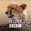 The Hunt - BBC Earth - Natural History Interactive TV Series earth day history 