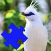 Birds of Paradise Puzzles birds of paradise 
