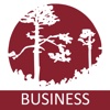 RCB Business Banking for iPad rcb mobile
