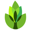 TeamSOA, Inc. - Garden Answers Plant Identification artwork