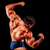 The Bible of Bodybuilding:The New Encyclopedia of Modern Bodybuilding bodybuilding videos 