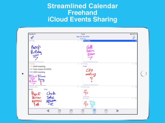 iPad Screenshot 1