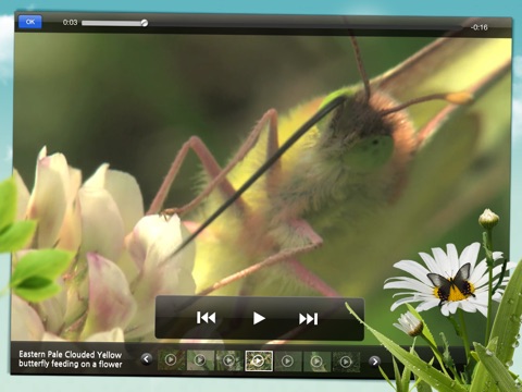 iPad Screenshot 5