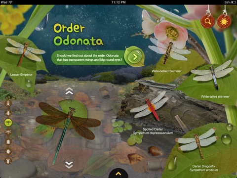 iPad Screenshot 2