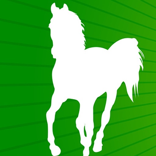 Horse Handicapping Software Ratings