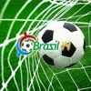 برازيل 2014