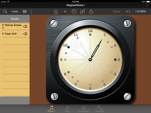iPad Screenshot 2