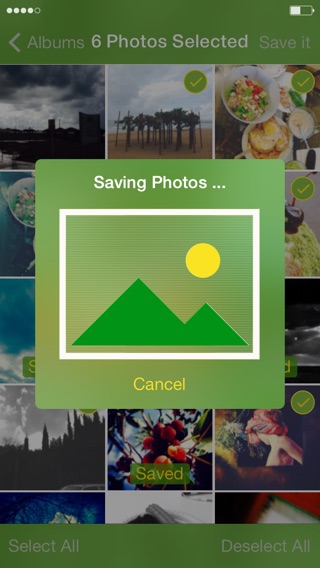 iPhone Screenshot 2