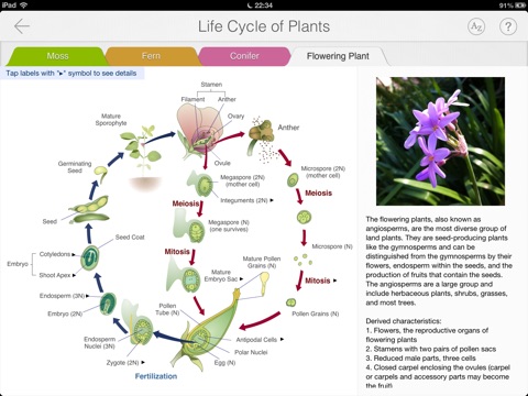 iPad Screenshot 3