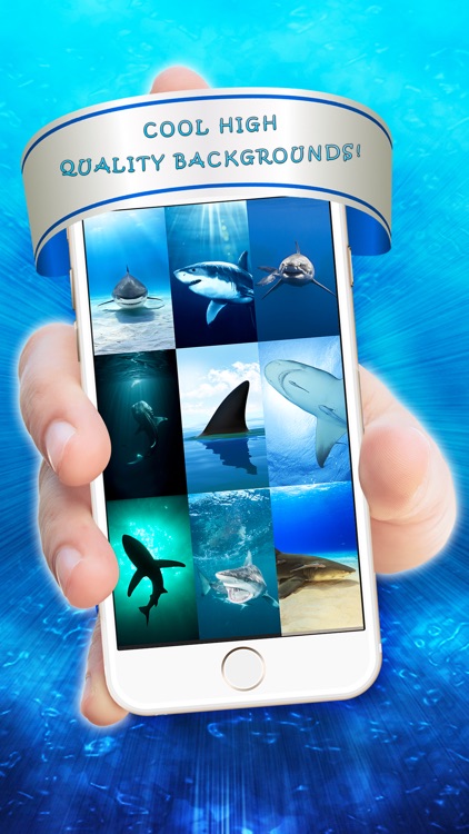 Cronulla Sharks iPhone X Lock Screen Wallpaper  Shark, Lock screen  wallpaper, Screen wallpaper