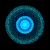 Particlescape