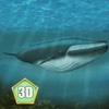 Whale Survival Simulator 3D - Ocean animal survival simulator survival 