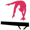 Gymnastics Academy artistic gymnastics 