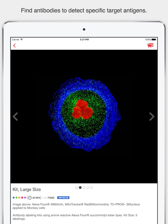 iPad Screenshot 2