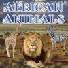 African Animals african animals 