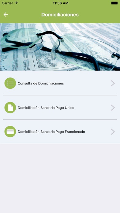 iPhone Screenshot 2