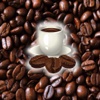 Visions of Coffee Beans rwandan coffee beans 