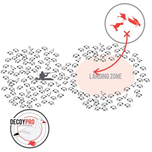 goose decoy spread diagrams snow goose diagram builder goose by goose decoy spread diagrams snow goose diagram builder goose by