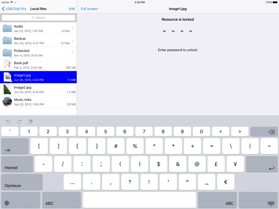 iPad Screenshot 4