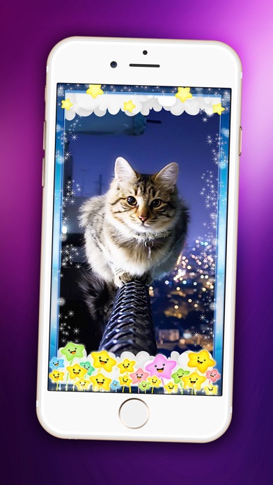 かわいい子猫の壁紙 かわいい赤ちゃんペット ロック画面 テーマと 愛らしいです キティ ネコ 背景 Iphoneアプリ Applion