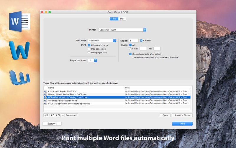 BatchOutput_DOC_for_Word.app caprure 2 2_BatchOutput_DOC_for_Word.jpg