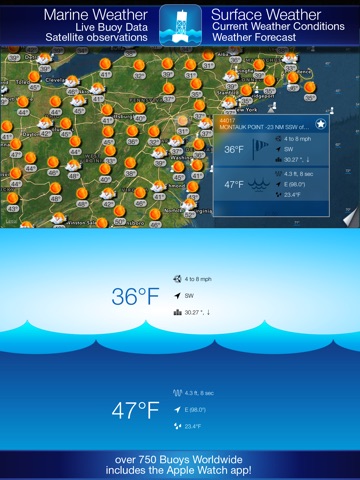 iPad Screenshot 1
