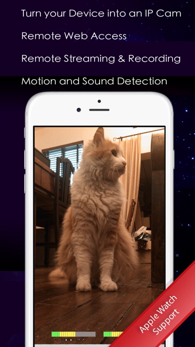 iPhone Screenshot 1