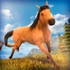 Horse Simulator 2016 | My Little Horse Racing Game For Fun horse racing 