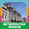 The Metropolitan Museum of Art metropolitan museum of art 