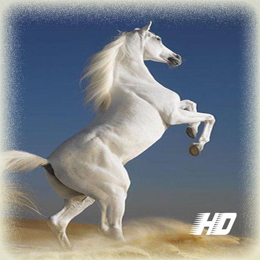 馬の壁紙 Iphone最新人気アプリランキング Ios App
