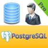 PostgreSQL Manager Pro