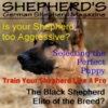 Shepherd's:German Shepherd Magazine central asian shepherd 