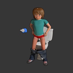 Mynd i’r Toiled / Using the Toilet
