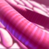 Interactive Case - Membrane Transporters