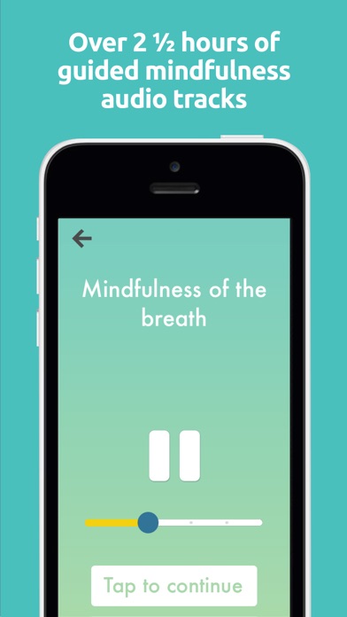 iPhone Screenshot 3