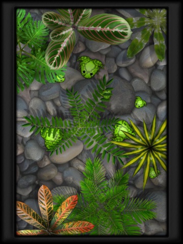 Screenshots of Pocket Frogs - Free pet farming for iPad