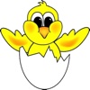 Containing Chicks