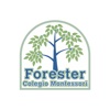 Forester Colegio Montessori