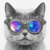 Color Point - Splash effects on gray photos