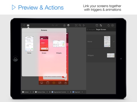 iPad Screenshot 4
