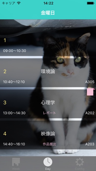 iPhone Screenshot 2