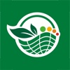民生菜篮子