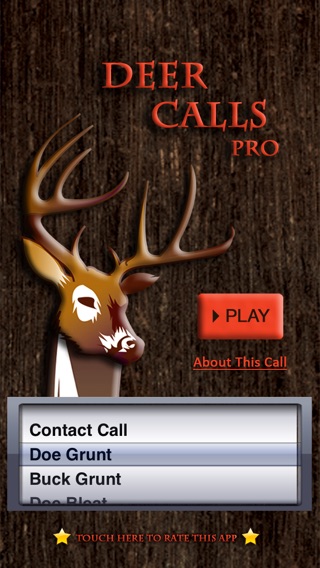 iPhone Screenshot 2