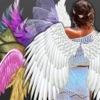 Tiny Angel Wing Lab : Jump Pic Awesome Creator