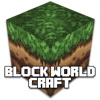 Block World Craft