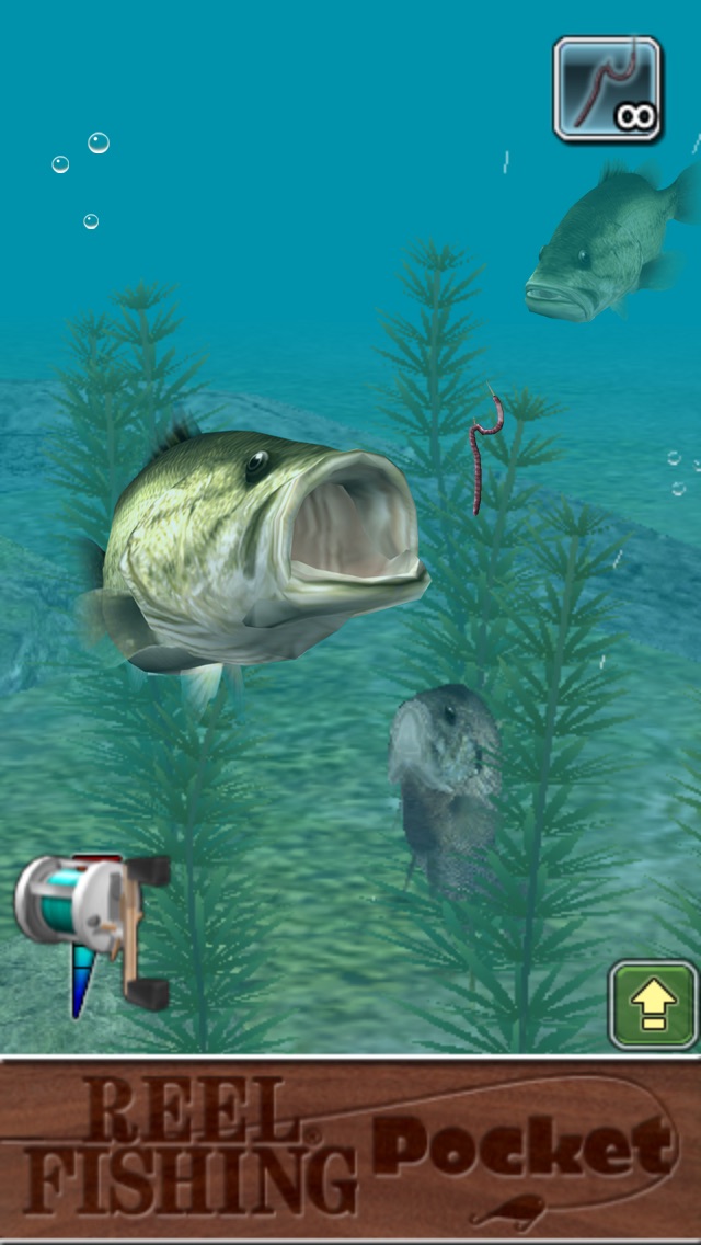 Reel Fishing Pocket screenshot1