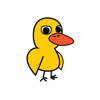 no app image